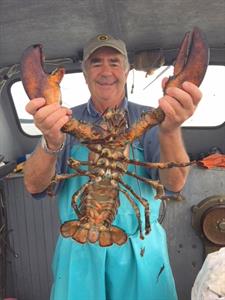 Dean Crombie showing off a lobster he caught