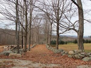 A nature trail with autumn leaves on the ground and bare tree branches above