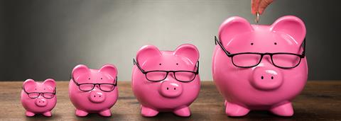 The bigger Picture Photo of a row of piggy banks